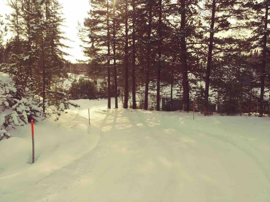 Le Chalet Bleu, Aux Pieds Des Monts-Valin Saint-David-de-Falardeau Exterior photo