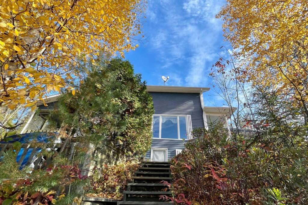 Le Chalet Bleu, Aux Pieds Des Monts-Valin Saint-David-de-Falardeau Exterior photo