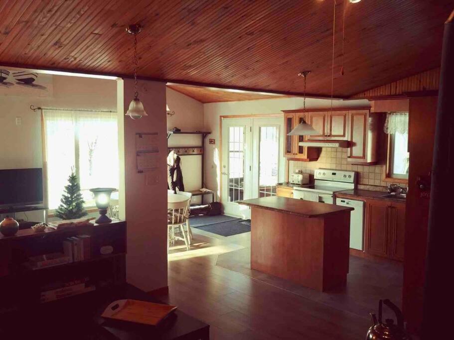 Le Chalet Bleu, Aux Pieds Des Monts-Valin Saint-David-de-Falardeau Exterior photo